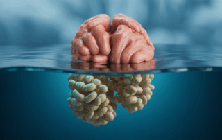 Misdiagnosis in Cape Coral: When Can You Sue a Doctor for a Wrong Diagnosis?