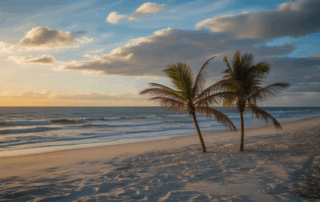 A Guide to VA Disability Benefits for PTSD in Cape Coral