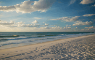 Social Security Disability Approval Rates in Cape Coral: What to Expect