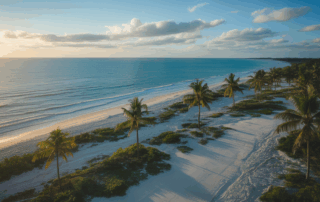 Understanding Social Security Disability Approval Rates in Cape Coral