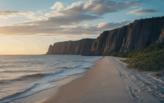 What Are the SSDI Approval Rates for Cape Coral Applicants?