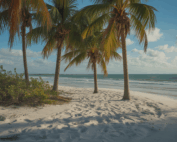 My Workers' Comp Claim Was Denied in Cape Coral: What to Do Next