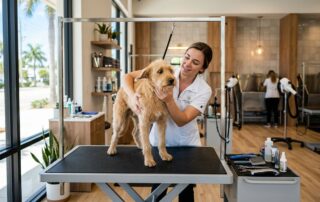 Florida Dog Bite Claims at Grooming Salons and Pet Spas