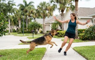 An unleashed dog lunges at a jogger beside a Florida sidewalk.